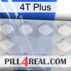 4T Plus 16